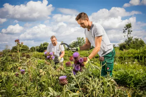 Zwei Mitarbeiter auf Terra Medica