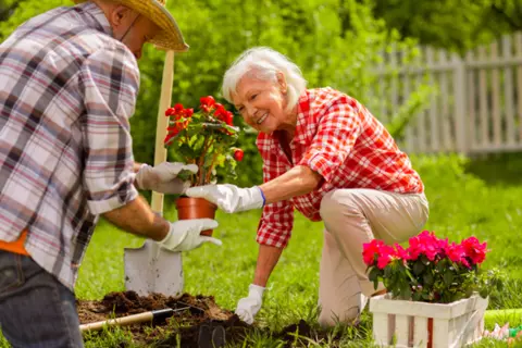 Älteres Paar bei der Gartenarbeit