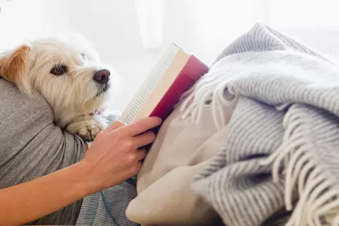 Man sieht einen Hund, der an einen Oberkörper einer Person angelehnt ist, die gemütlich ein Buch liest