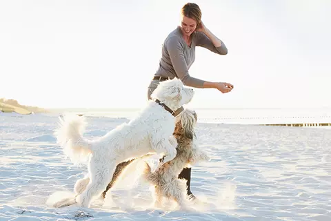 Eine Frau spielt am Strand mit ihrem Hund