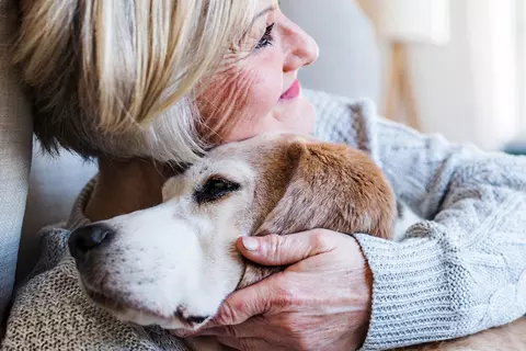 Frau liegt mit Hund im Arm auf der Couch