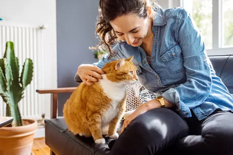 Frau sitzt mit Katze auf der Couch