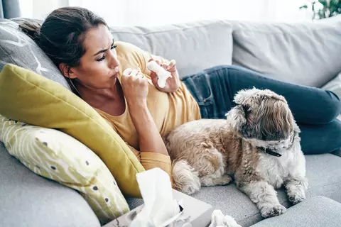 Frau liegt mit Hund auf der Couch und hustet