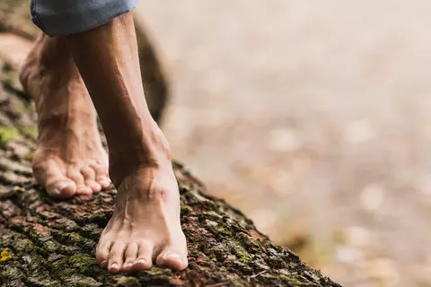 Person läuft barfuß über einen Baumstamm