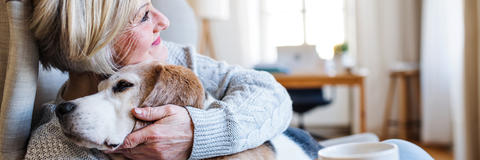 Frau liegt mit Hund im Arm auf der Couch