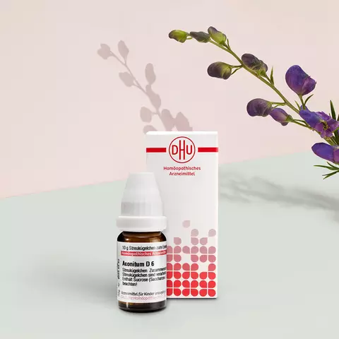 Packshot Aconitum mit Pflanze