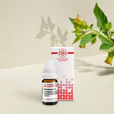 Packshot Belladonna mit Pflanze