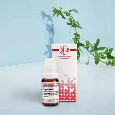 Packshot von Bryonia mit Pflanzenbild