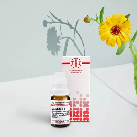 Packshot von Calendula mit Pflanzenbild