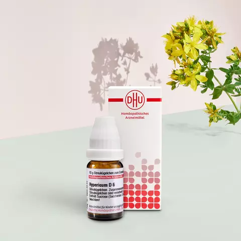 Packshot von Hypericum mit Pflanzenbild