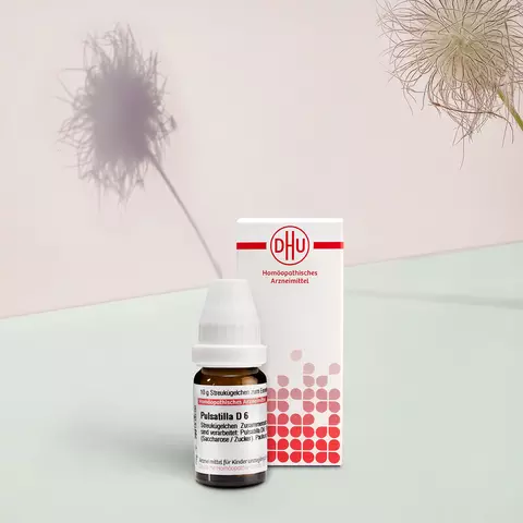 Packshot von Pulsatilla mit Pflanzenbild