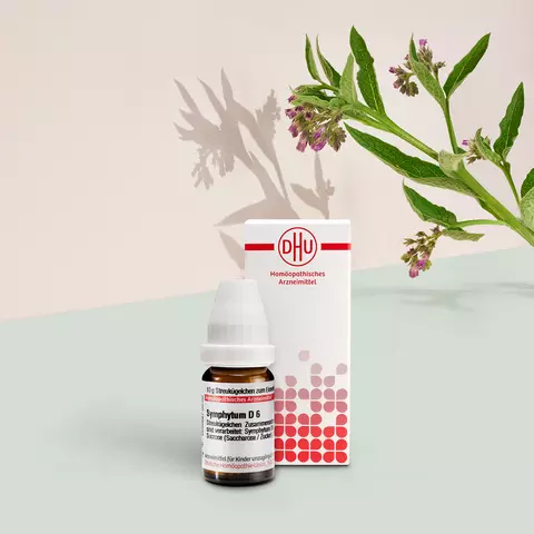 Packshot von Symphytum mit Pflanzenbild