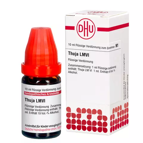Thuja VI