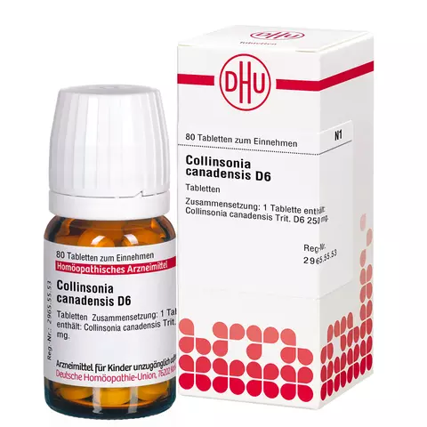 Collinsonia canadensis D6