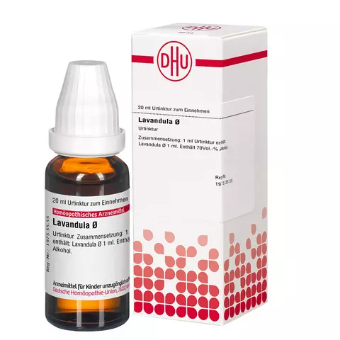 Lavandula