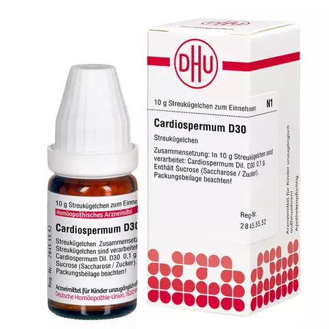 Cardiospermum D30