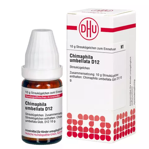 Chimaphila umbellata D12
