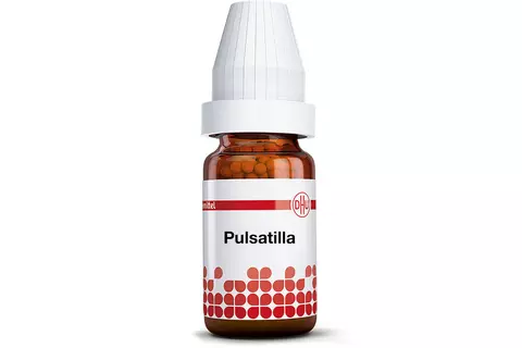 Pulsatilla