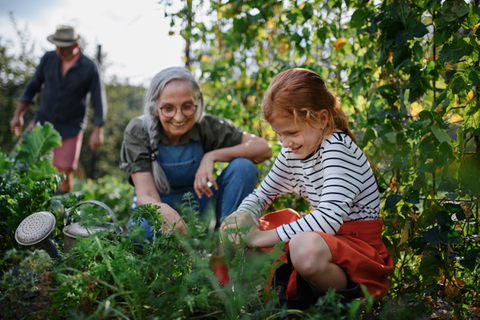 Oma und Enkel beschäftigen sich im Garten