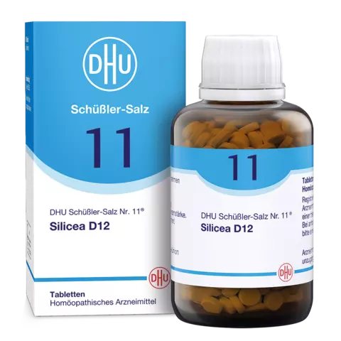 DHU Schüßler-Salz Nr. 11 D12, 900 Stück